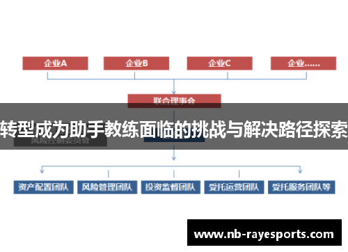 转型成为助手教练面临的挑战与解决路径探索